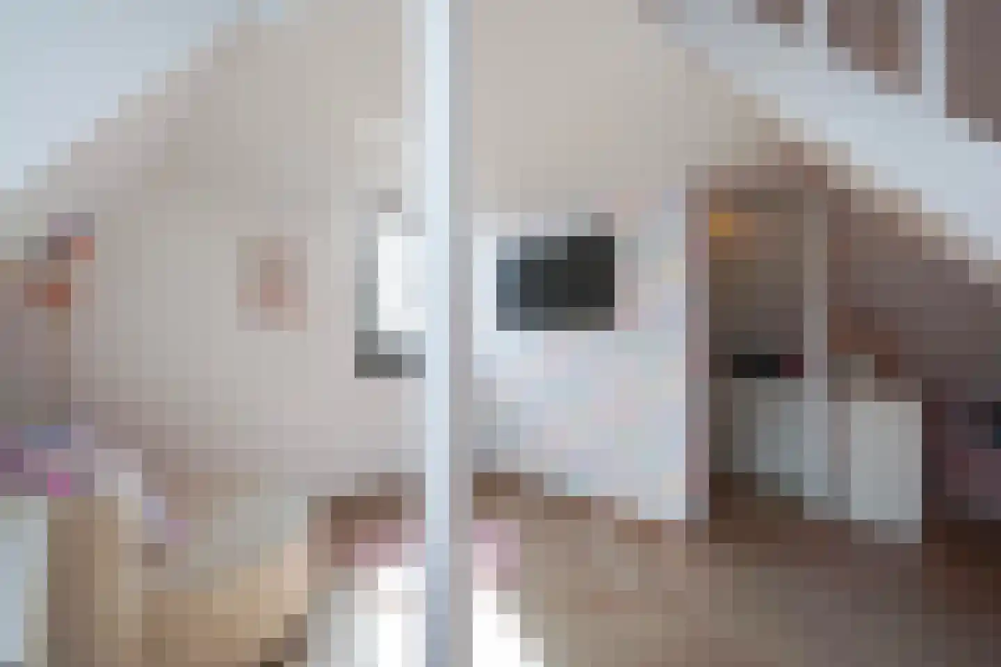 Gardameerpad 12 Zoetermeer thumbnail 54