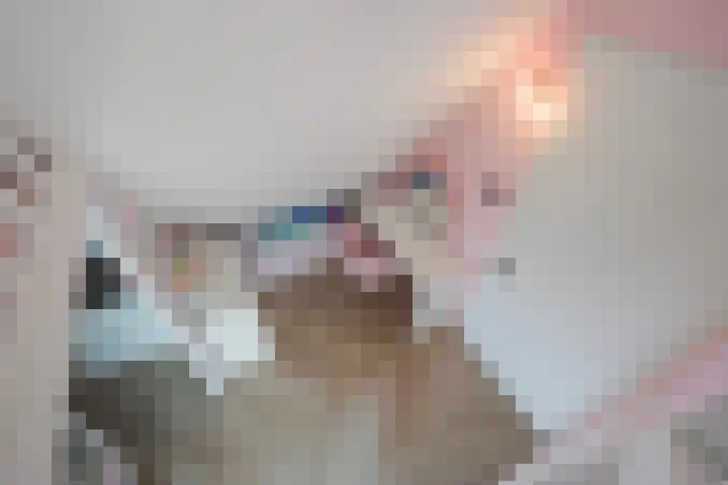 Gardameerpad 12 Zoetermeer thumbnail 59