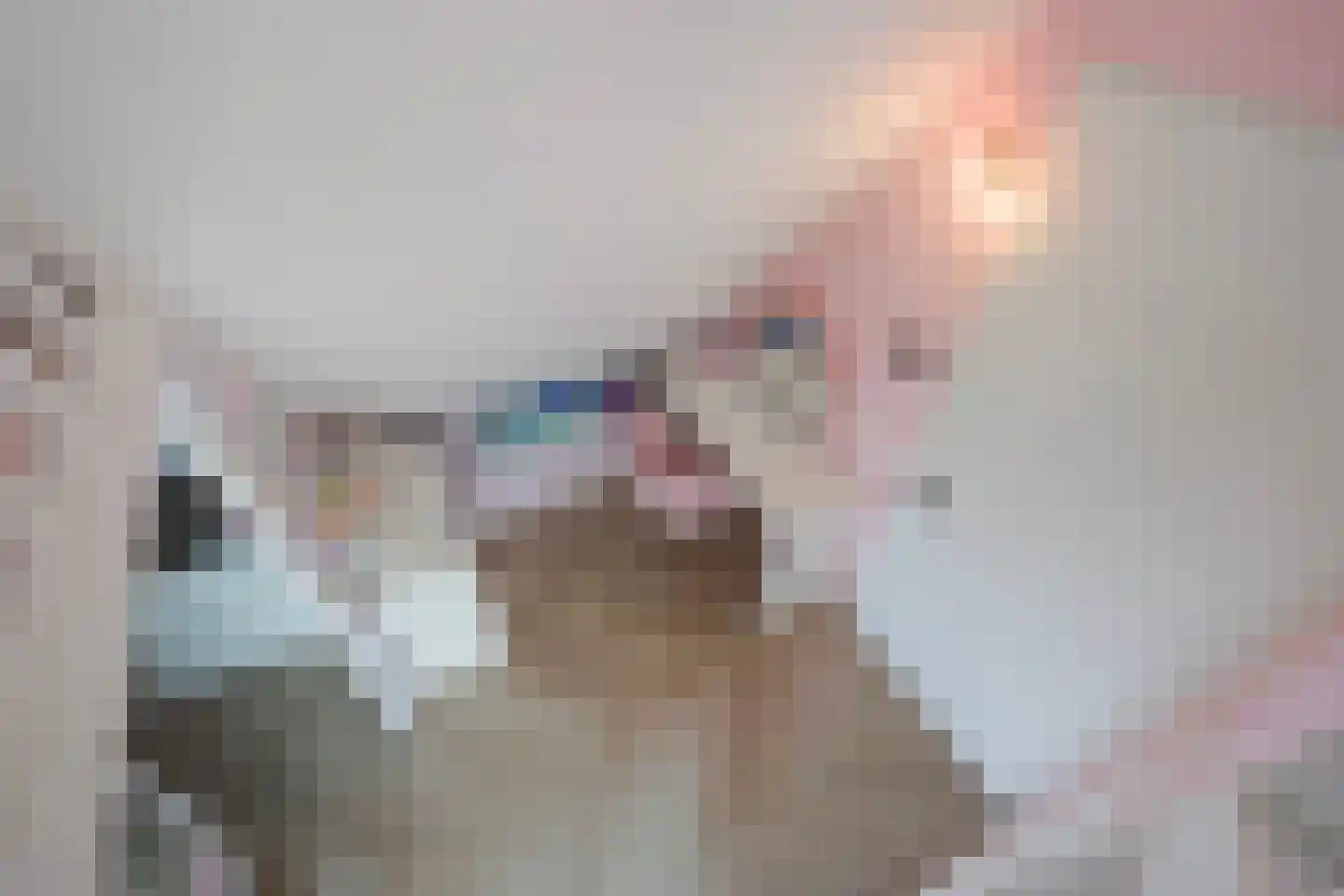 Gardameerpad 12 Zoetermeer thumbnail 62