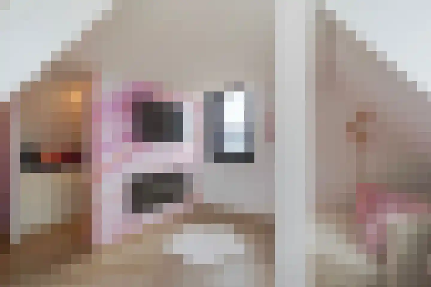 Gardameerpad 12 Zoetermeer thumbnail 65