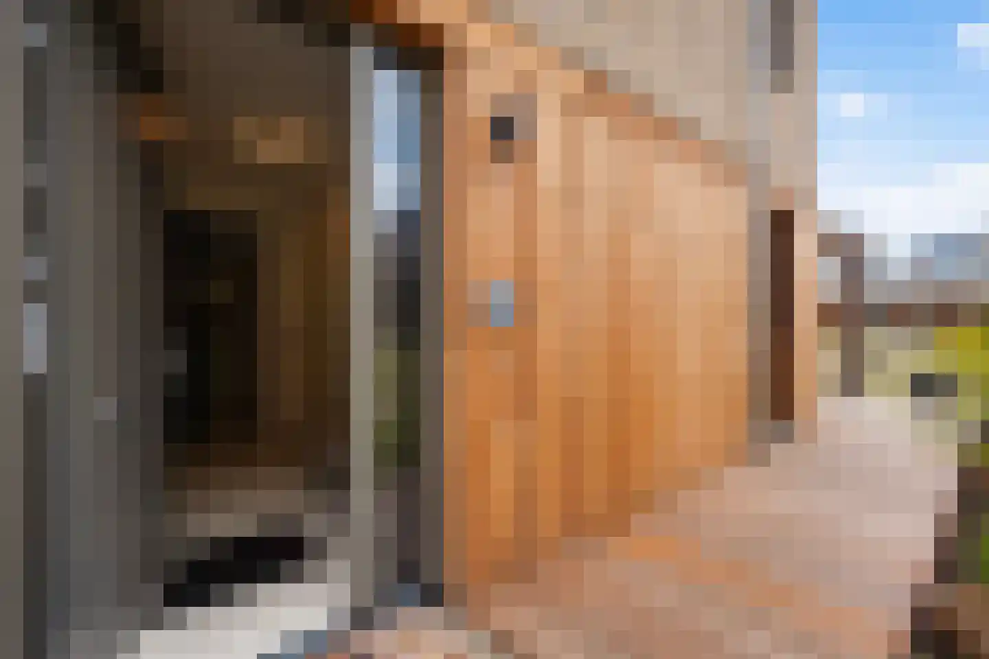 Gardameerpad 12 Zoetermeer thumbnail 71