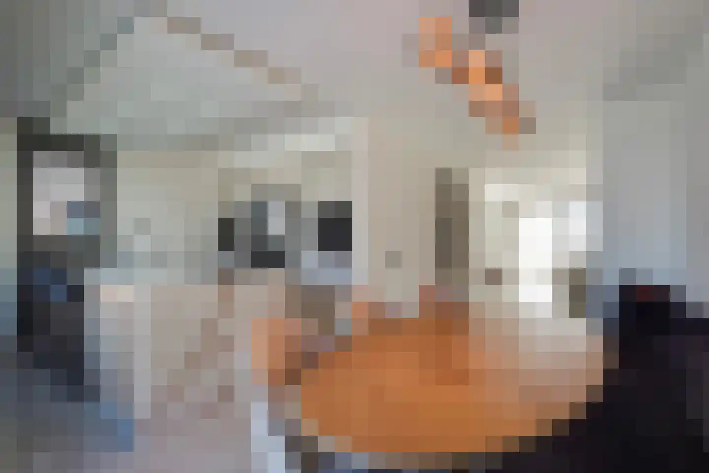 Gardameerpad 12 Zoetermeer thumbnail 8