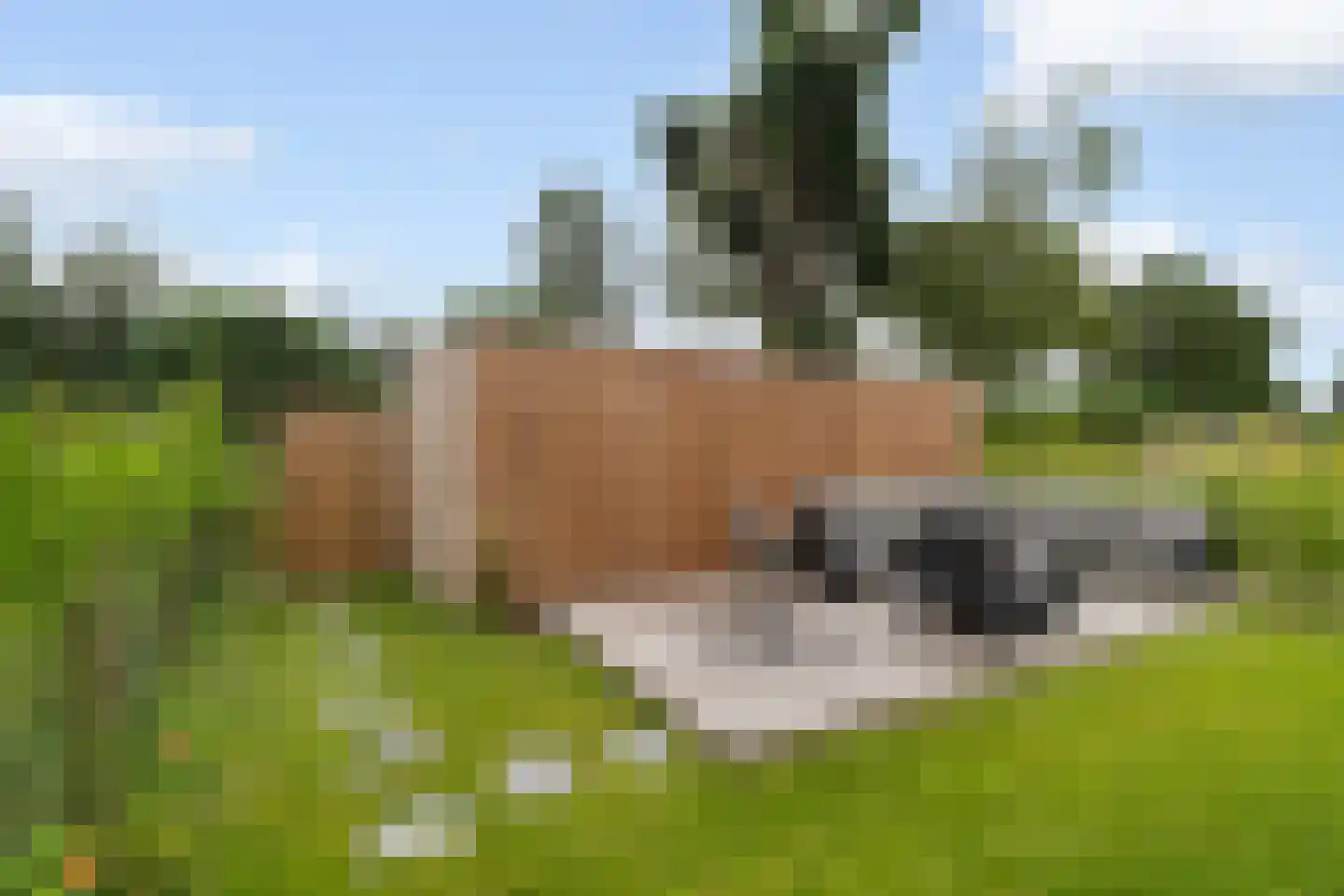 Gardameerpad 208 Zoetermeer thumbnail 14