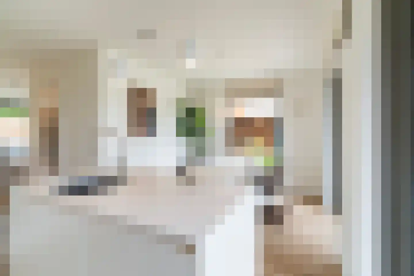 Gardameerpad 208 Zoetermeer thumbnail 22