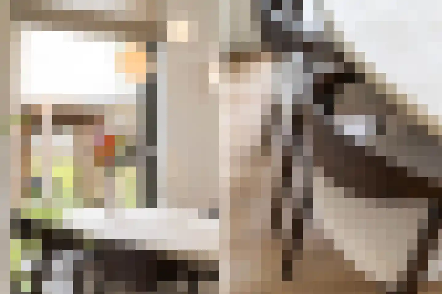 Gardameerpad 208 Zoetermeer thumbnail 23