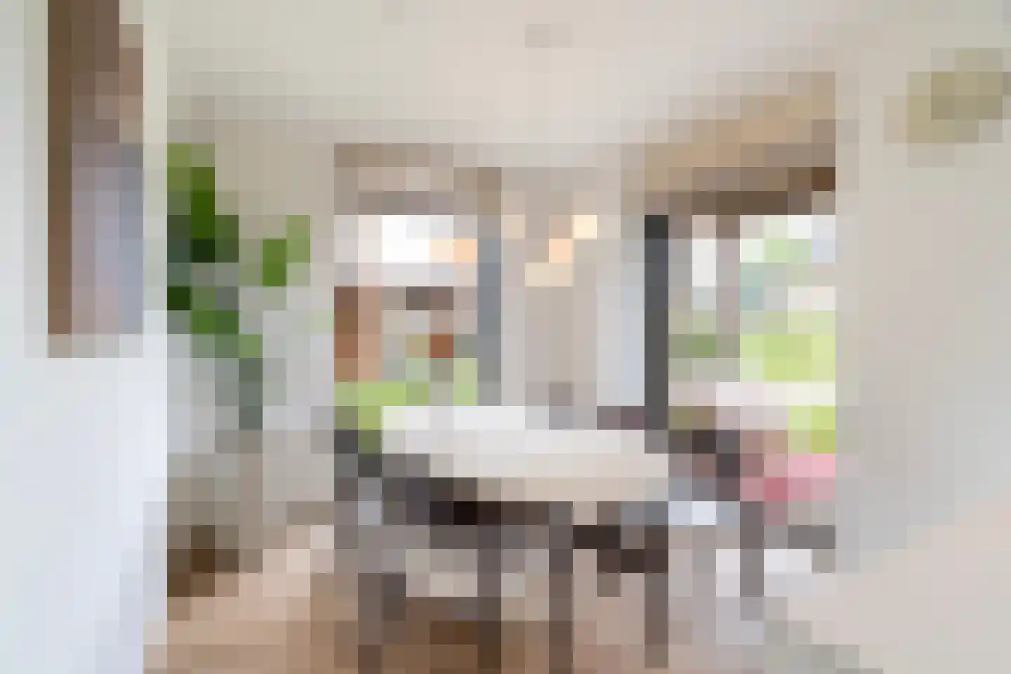 Gardameerpad 208 Zoetermeer thumbnail 24