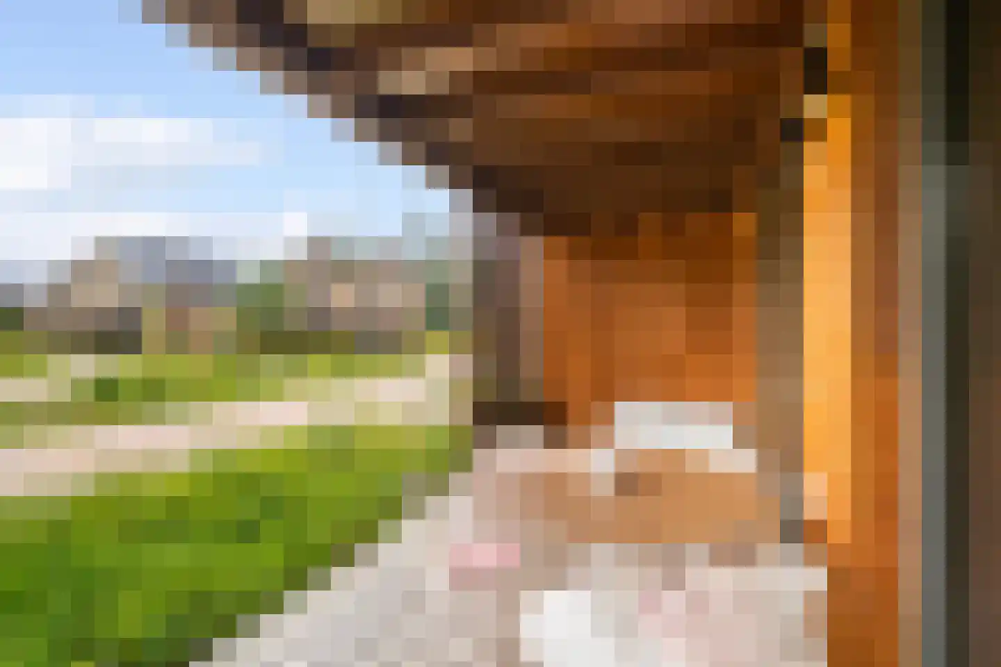 Gardameerpad 208 Zoetermeer thumbnail 26
