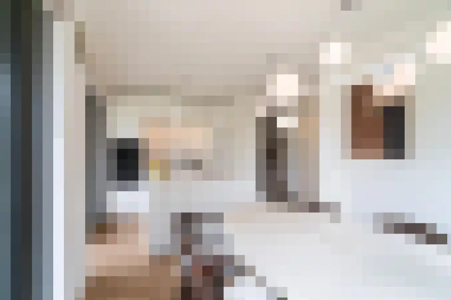 Gardameerpad 208 Zoetermeer thumbnail 27
