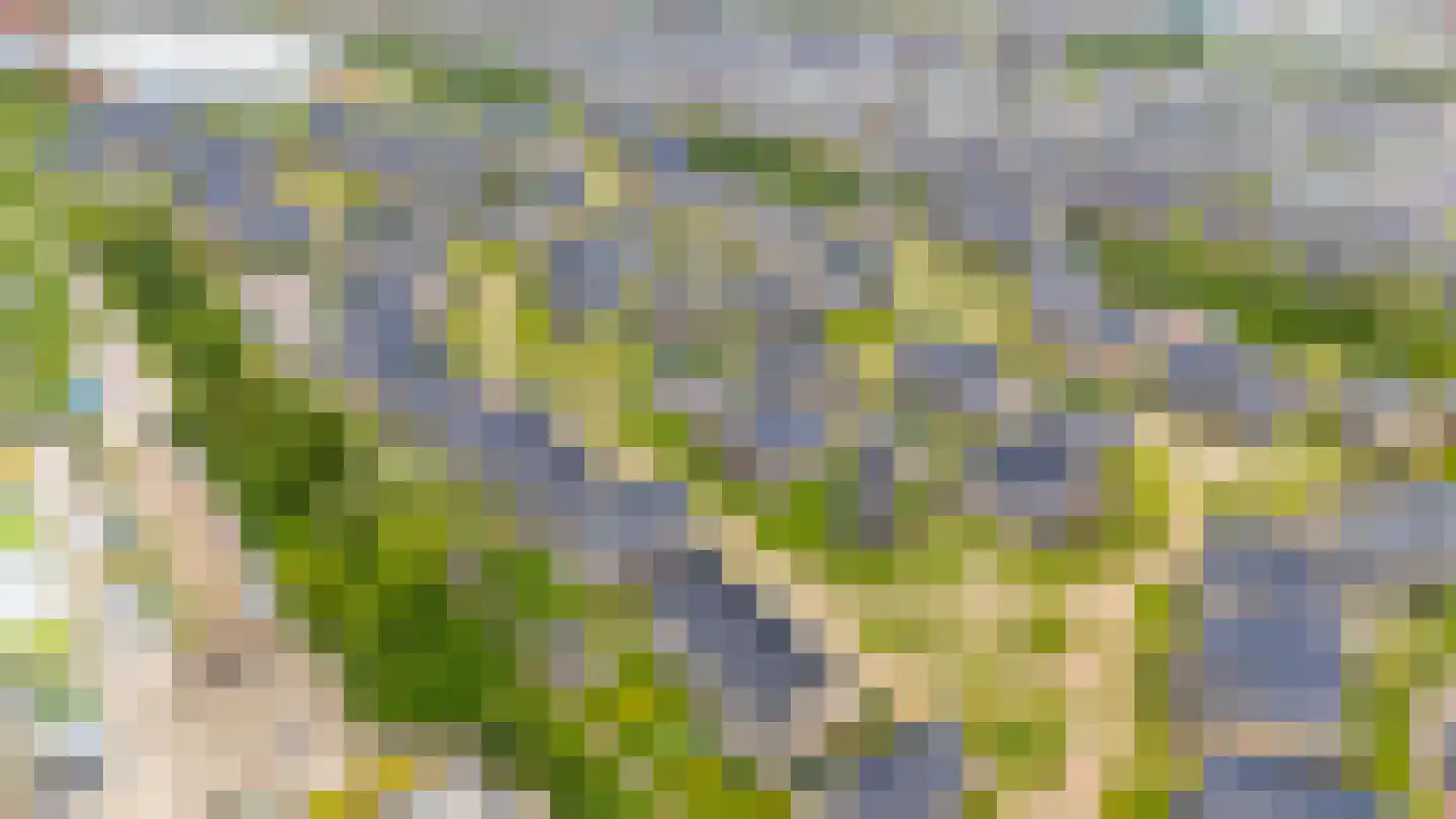 Gardameerpad 208 Zoetermeer thumbnail 4