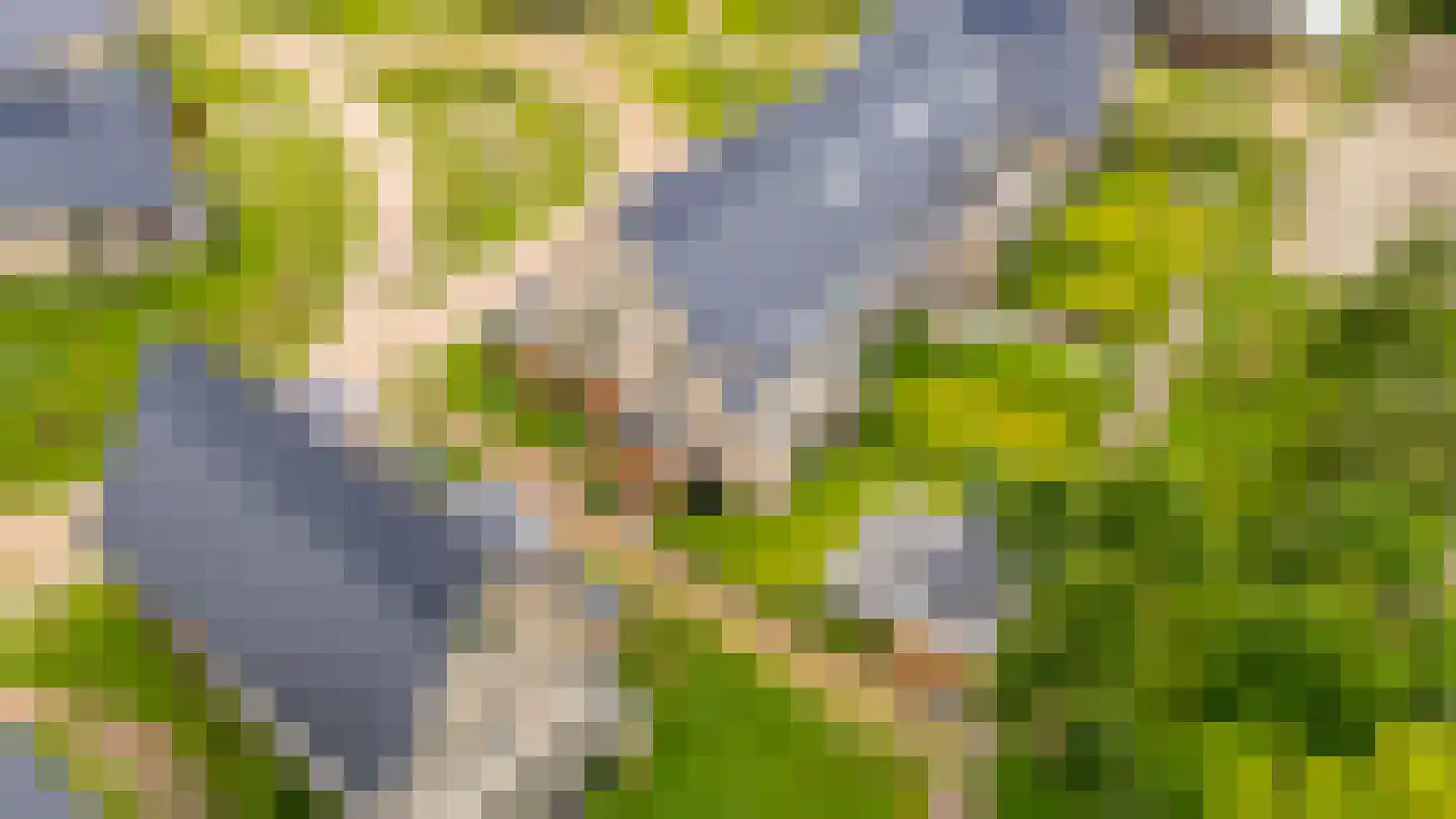 Gardameerpad 208 Zoetermeer thumbnail 40