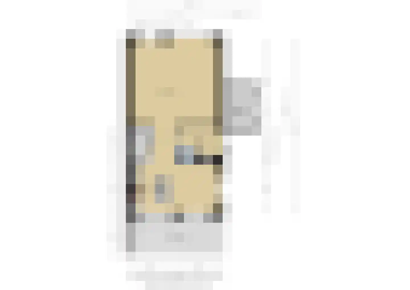 Gardameerpad 208 Zoetermeer thumbnail 44