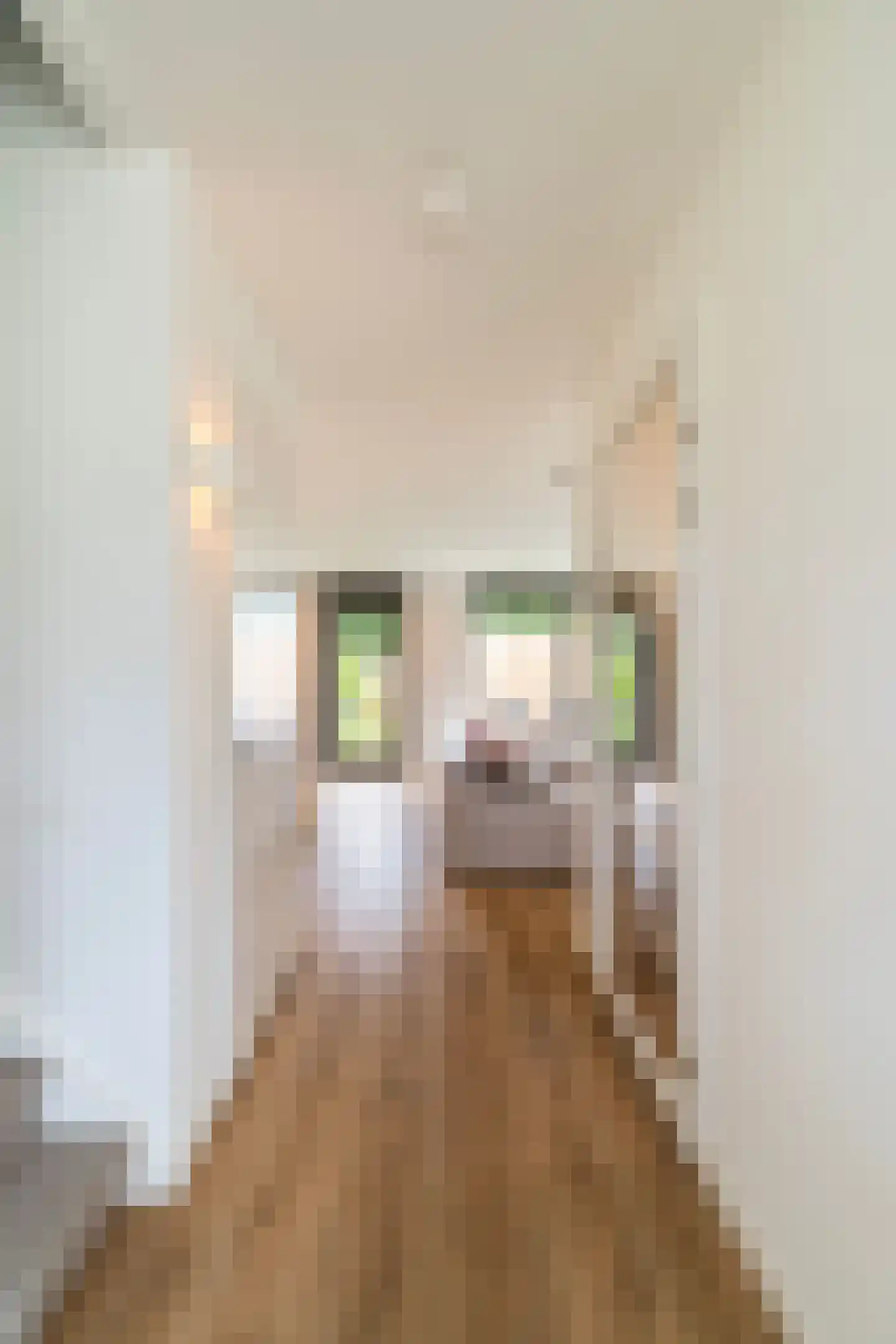 Gardameerpad 208 Zoetermeer thumbnail 7