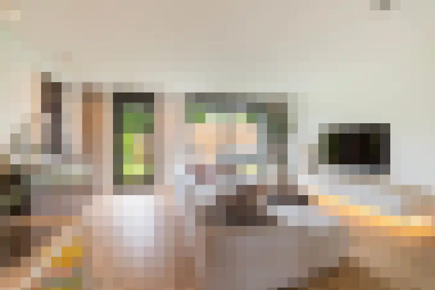 Gardameerpad 208 Zoetermeer thumbnail 8
