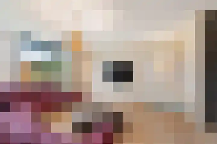 Gardameerpad 212 Zoetermeer thumbnail 10