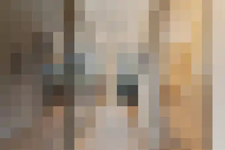 Gardameerpad 212 Zoetermeer thumbnail 11