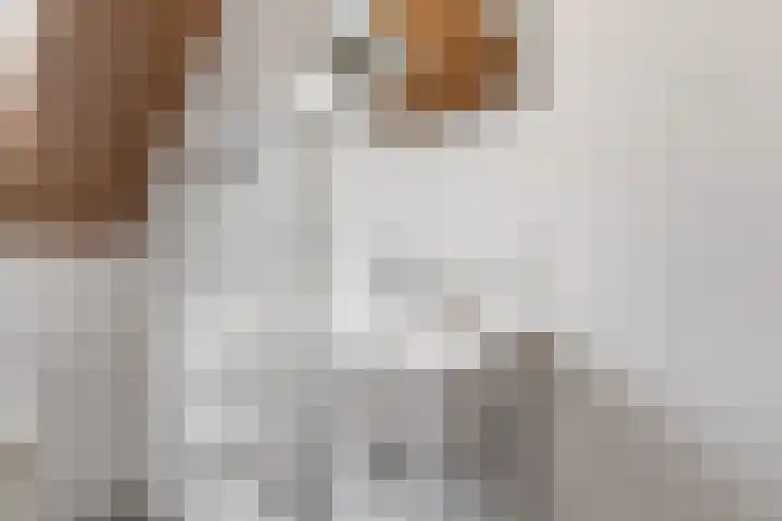 Gardameerpad 212 Zoetermeer thumbnail 29