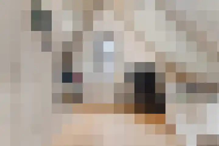Gardameerpad 212 Zoetermeer thumbnail 32