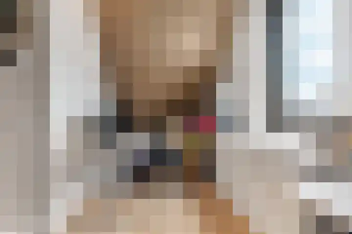 Gardameerpad 212 Zoetermeer thumbnail 33