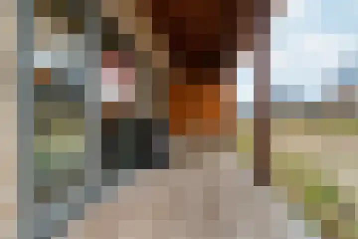 Gardameerpad 212 Zoetermeer thumbnail 36