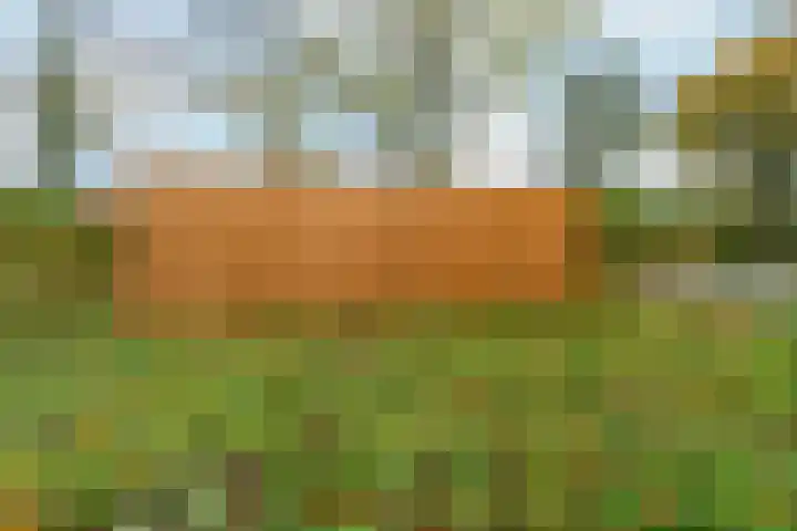 Gardameerpad 212 Zoetermeer thumbnail 37