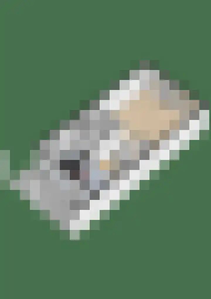 Gardameerpad 212 Zoetermeer thumbnail 46