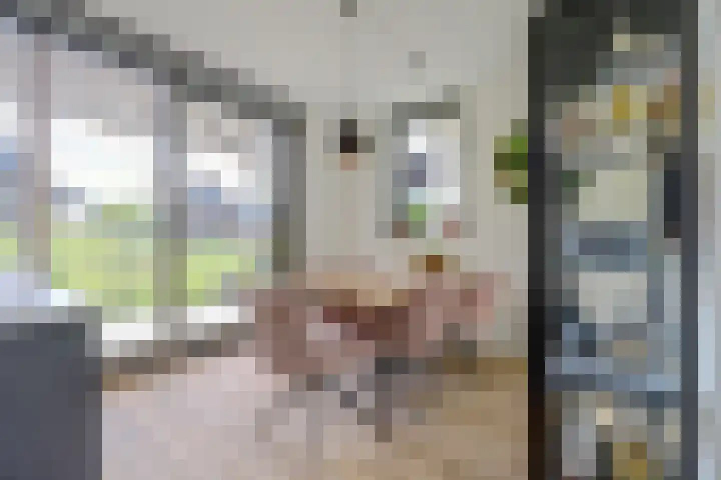Gardameerpad 274 Zoetermeer thumbnail 19