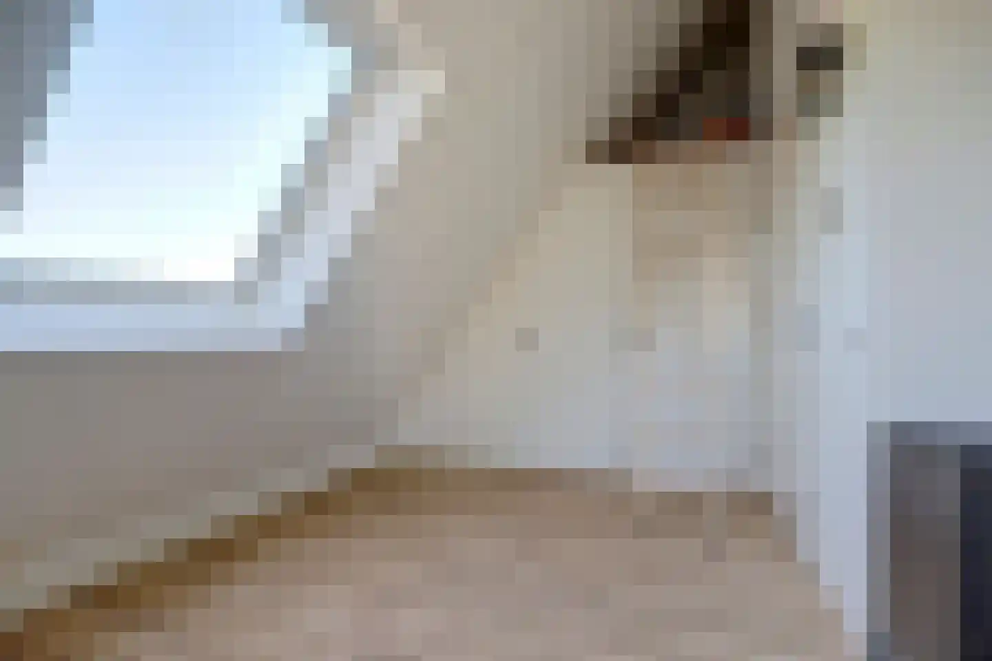 Gardameerpad 274 Zoetermeer thumbnail 38
