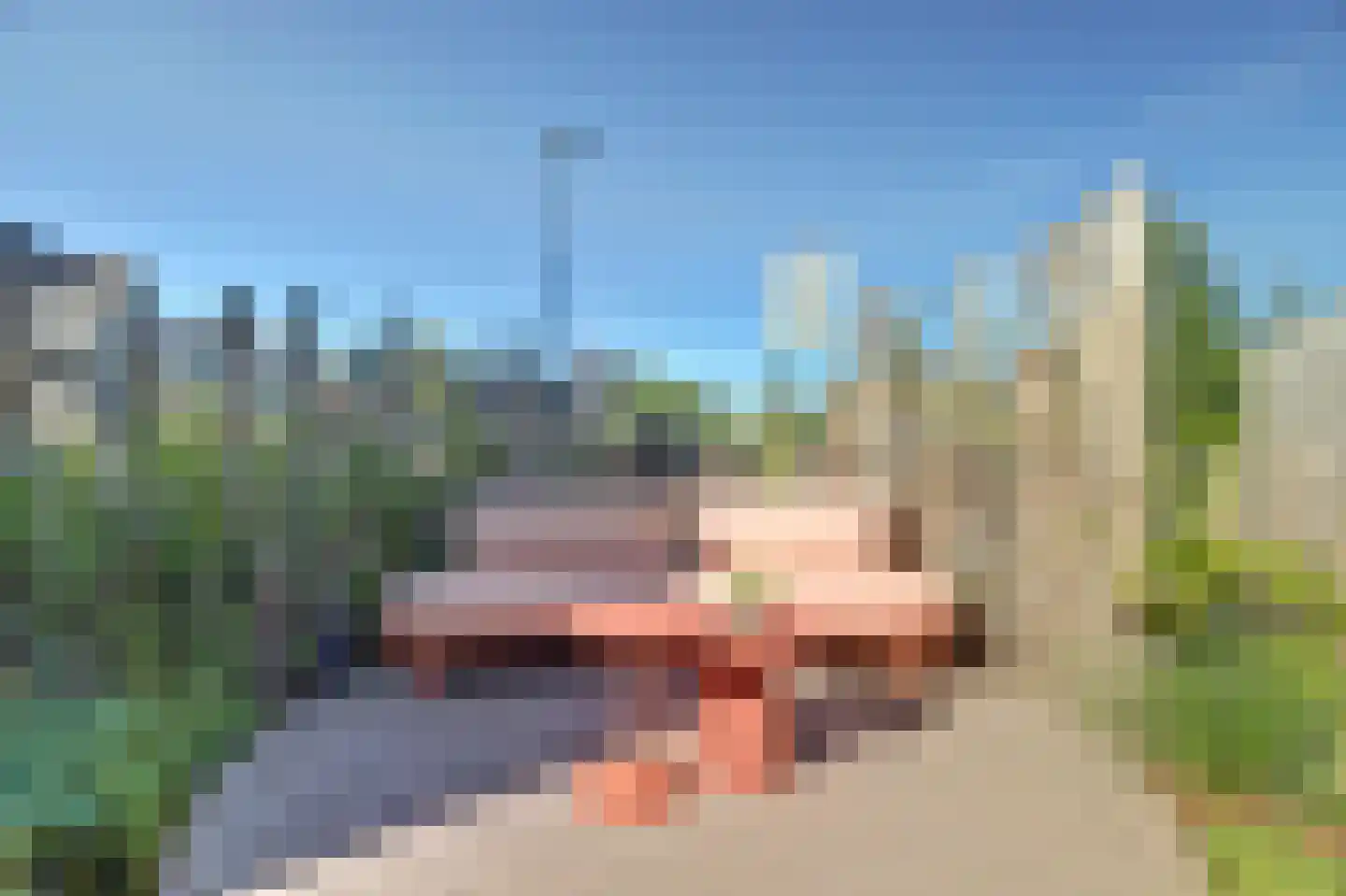 Gardameerpad 274 Zoetermeer thumbnail 43