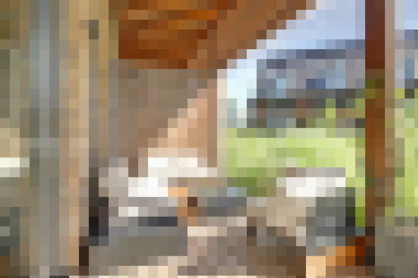 Gardameerpad 274 Zoetermeer thumbnail 5