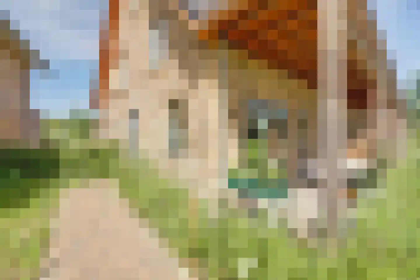 Gardameerpad 274 Zoetermeer thumbnail 8