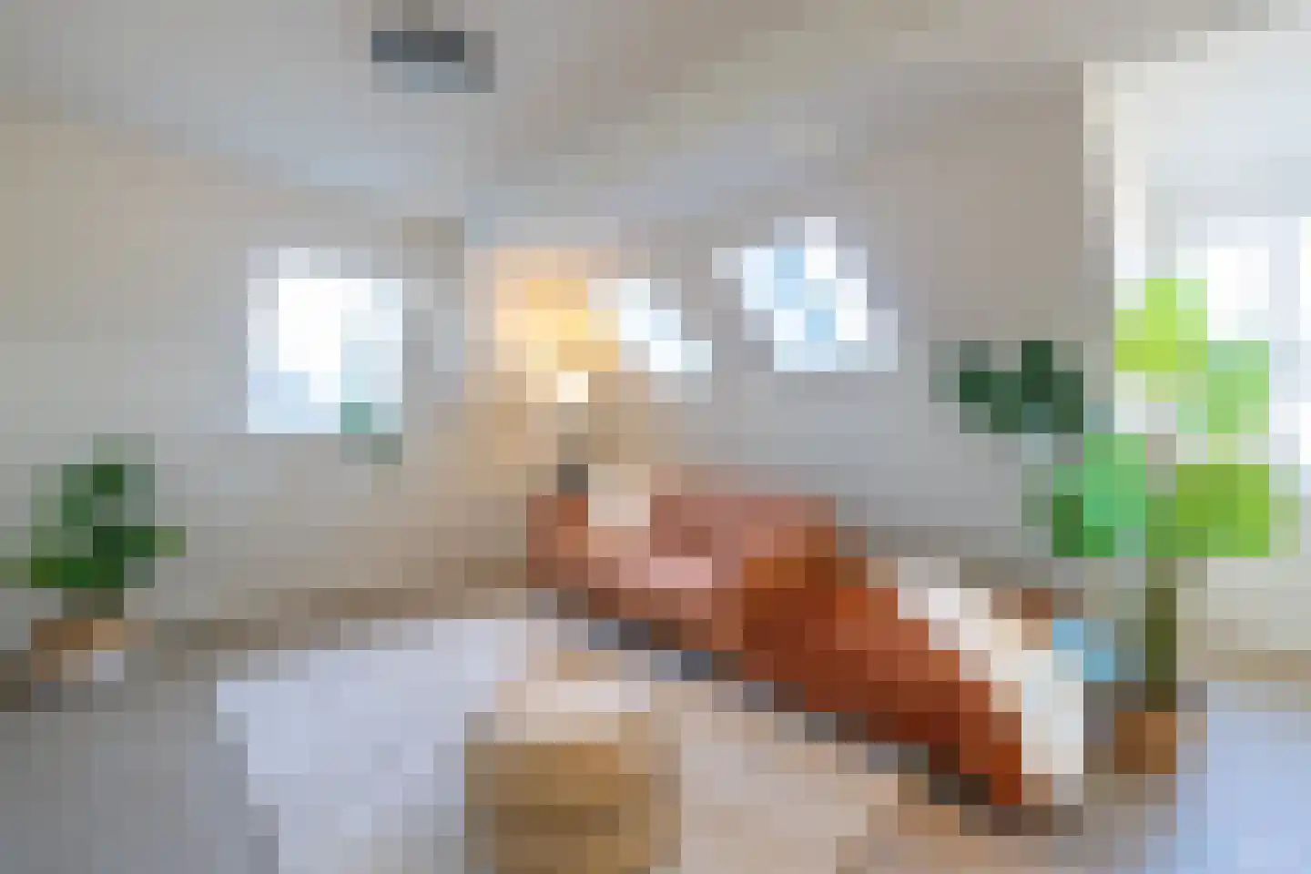 Garde Jagerswei 20 Grou