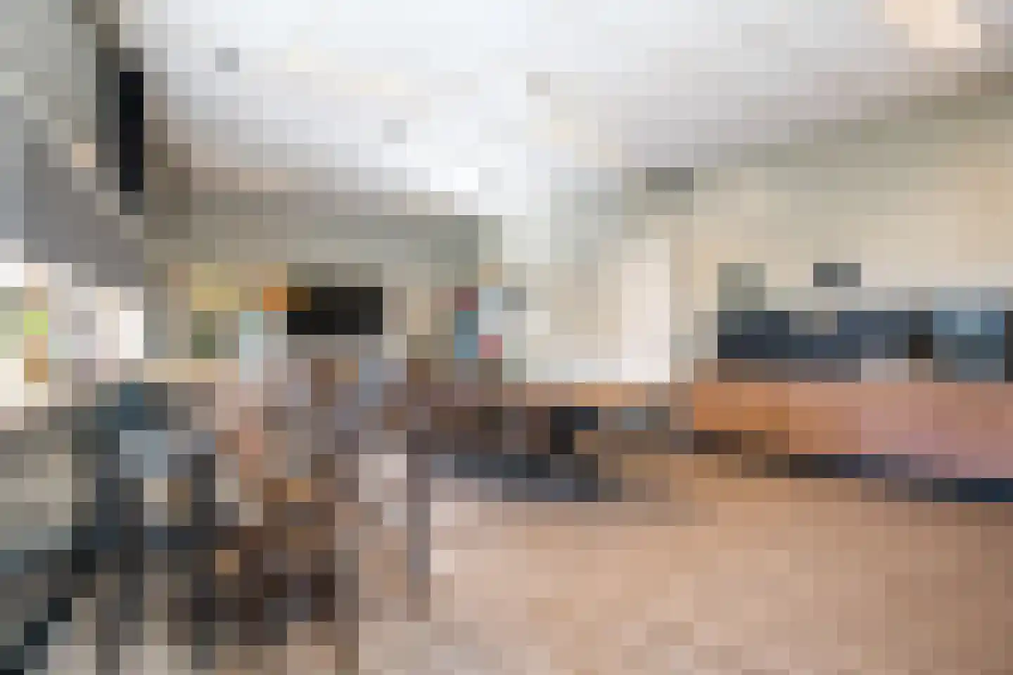 Garde Jagerswei 20 Grou thumbnail 57