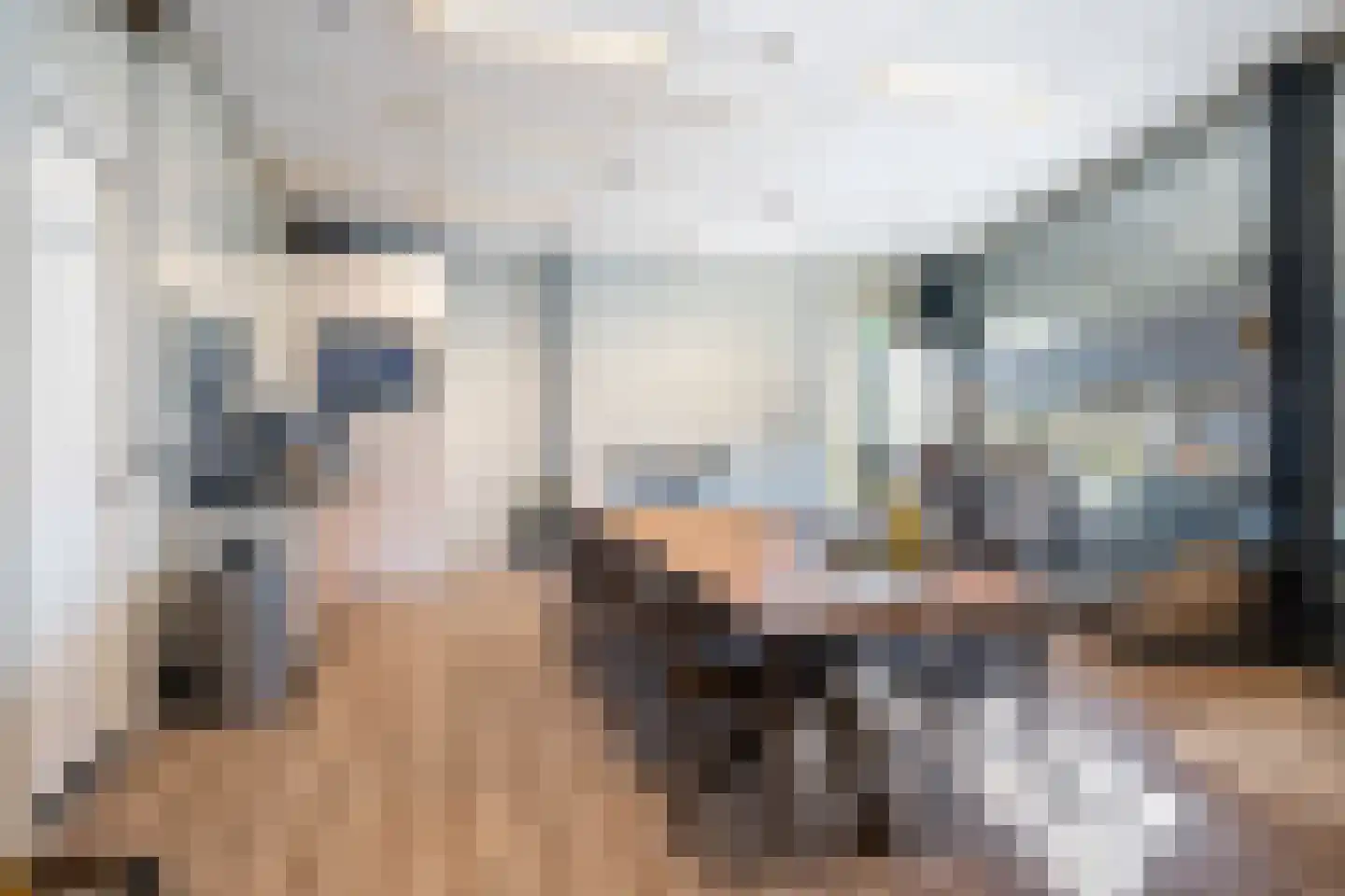 Garde Jagerswei 20 Grou thumbnail 58
