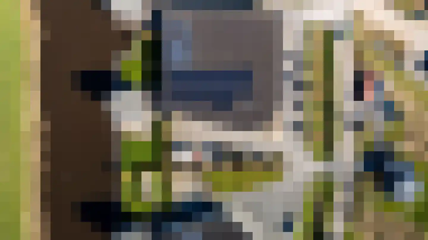 Garde Jagerswei 20 Grou thumbnail 72