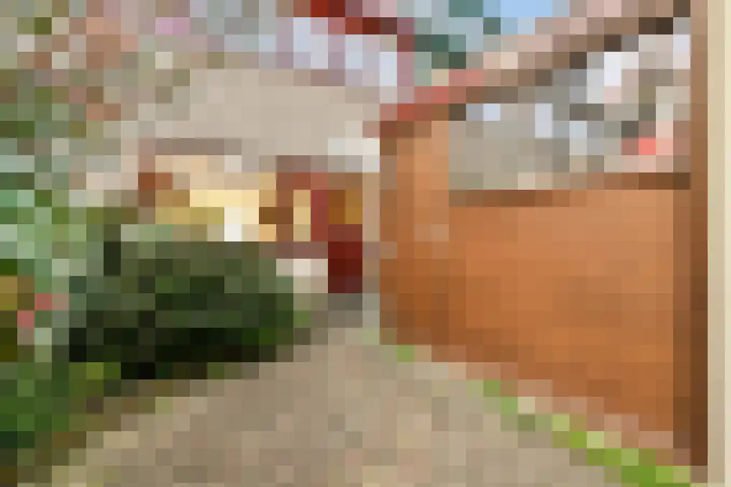 Gardeniadal 20 Leiden thumbnail 4