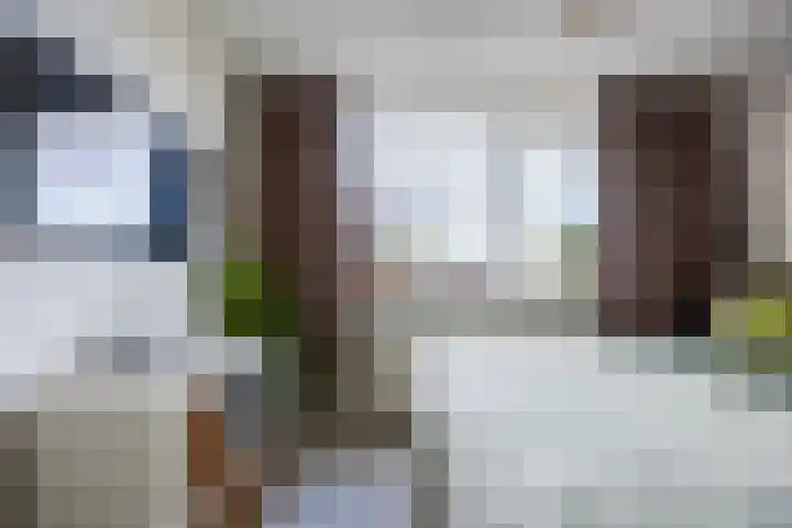 Gardeniersdreef 15 Cuijk thumbnail 20