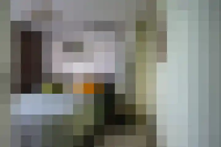 Gardeniersdreef 15 Cuijk thumbnail 22