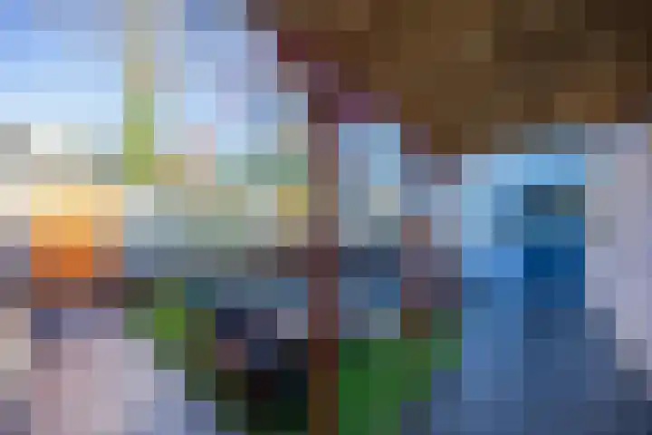 Gardeniersdreef 15 Cuijk thumbnail 33