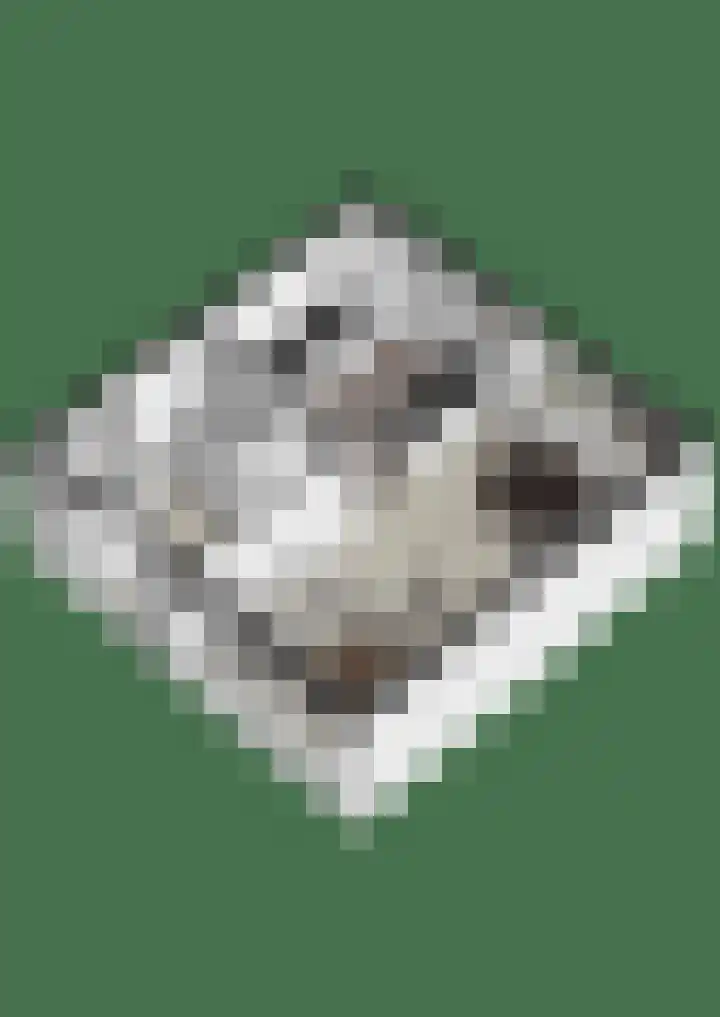 Gardeniersdreef 15 Cuijk thumbnail 42