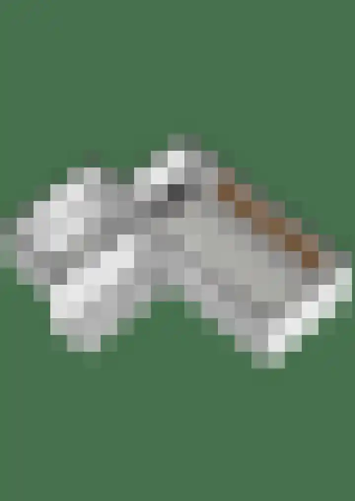 Gardeniersdreef 15 Cuijk thumbnail 46