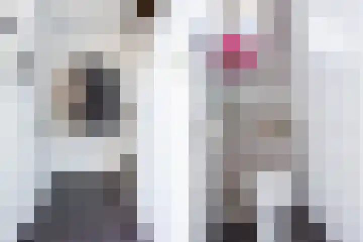 Gardeniersdreef 15 Cuijk thumbnail 5