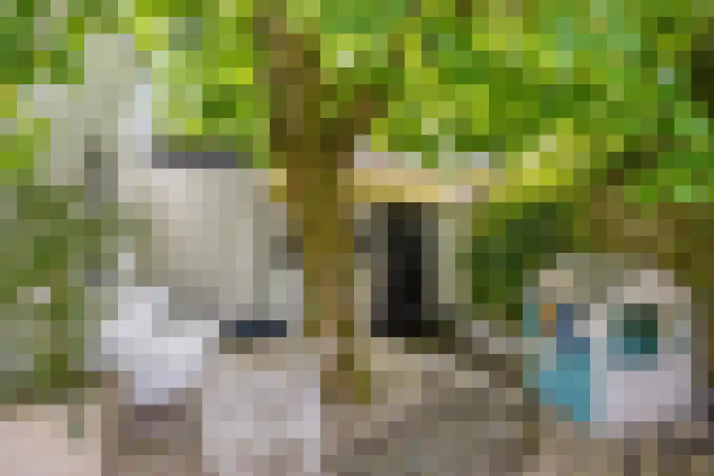 Gardenierslaan 13 Apeldoorn thumbnail 26