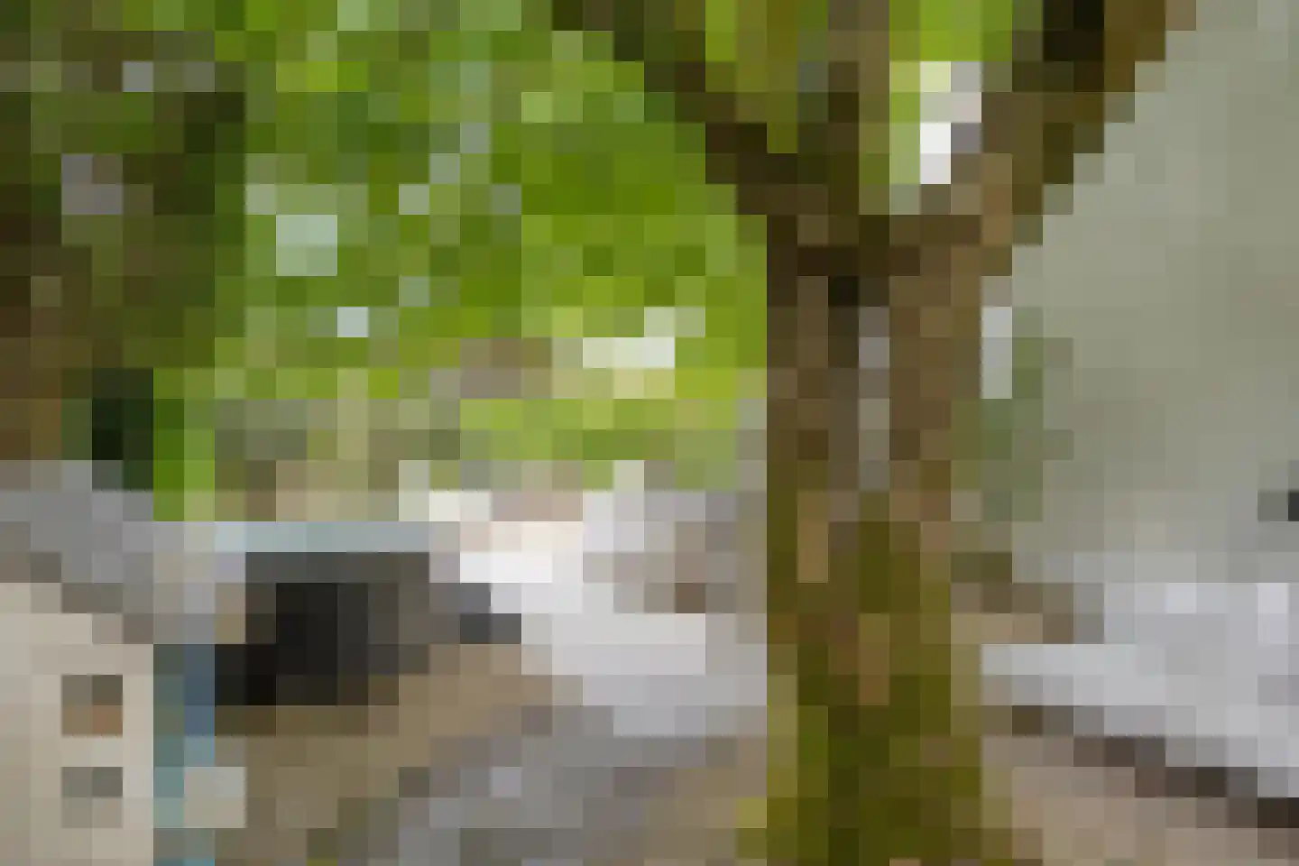 Gardenierslaan 13 Apeldoorn thumbnail 27
