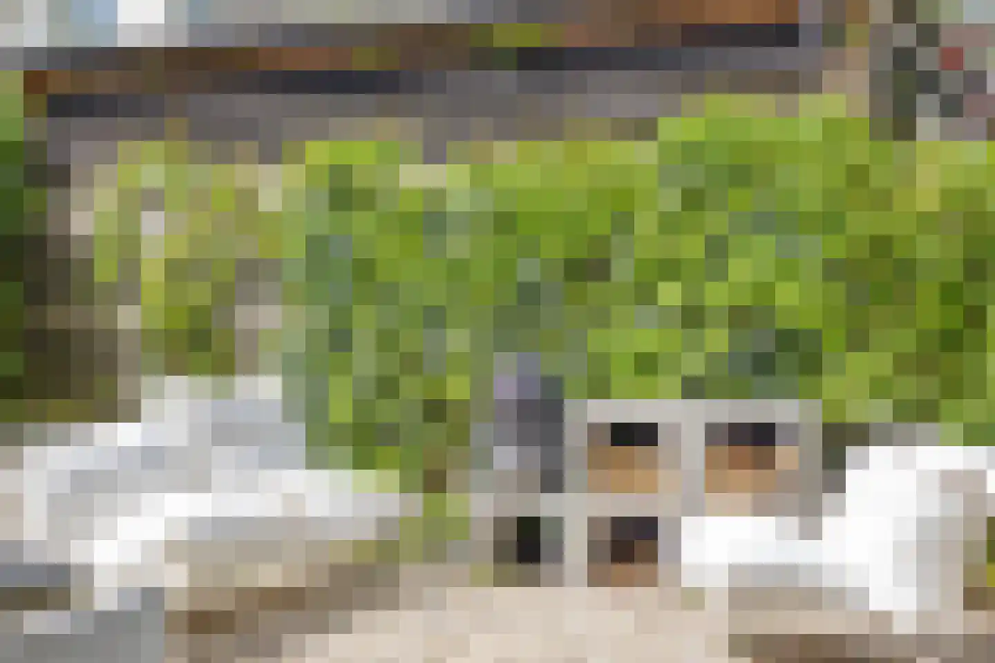 Gardenierslaan 13 Apeldoorn thumbnail 32