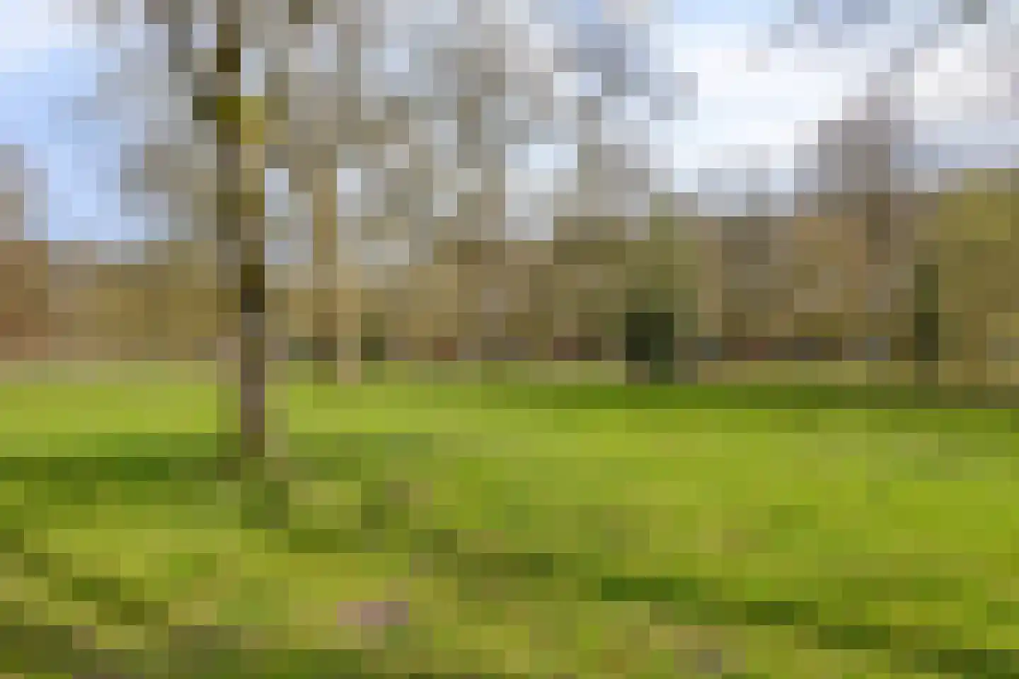 Gardenierslaan 13 Apeldoorn thumbnail 39