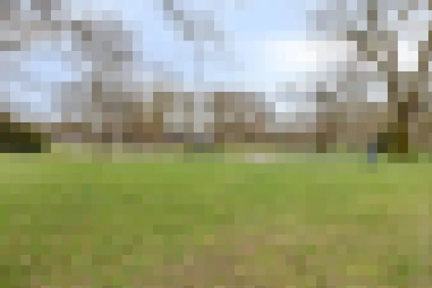 Gardenierslaan 13 Apeldoorn thumbnail 43