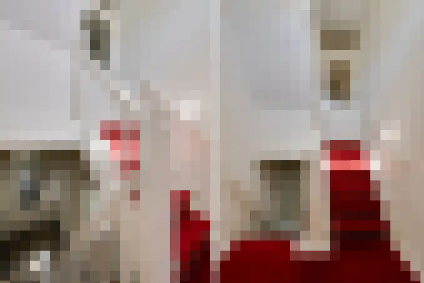 Gardenierslaan 3 Apeldoorn thumbnail 23