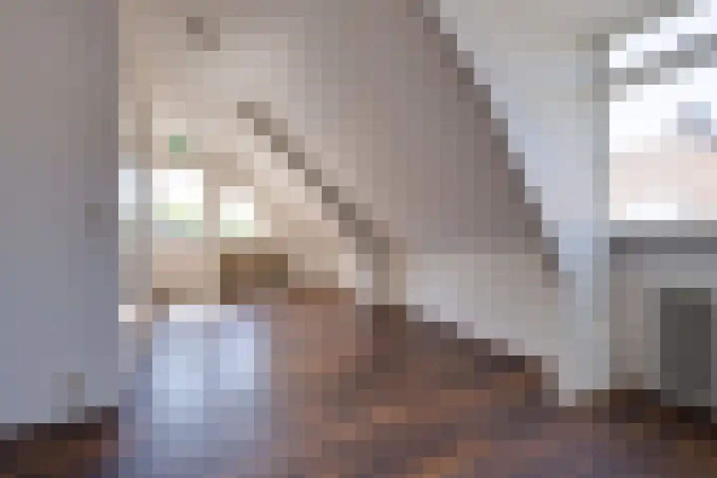 Gardenierslaan 3 Apeldoorn thumbnail 48