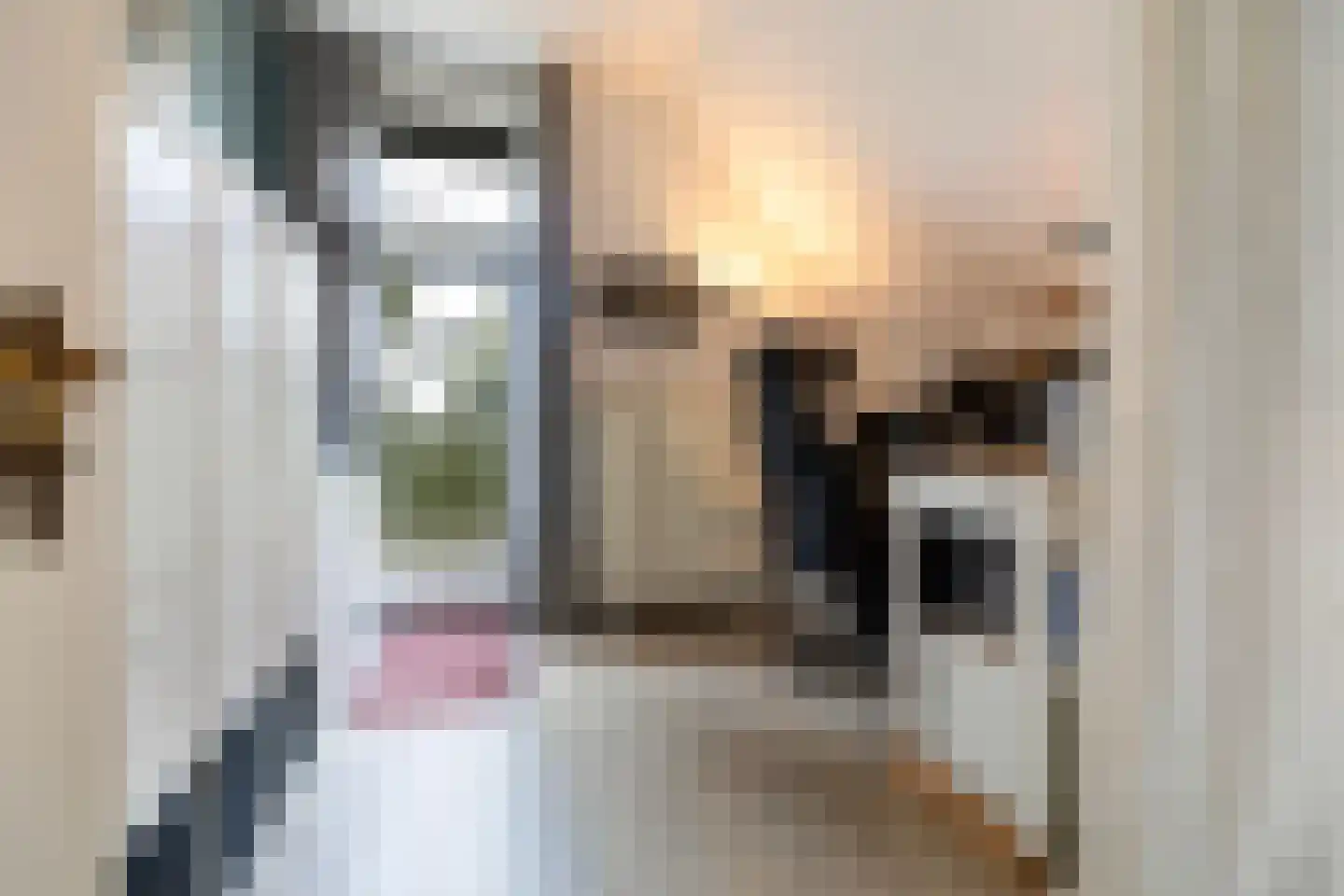 Gardenierslaan 31 Apeldoorn thumbnail 25