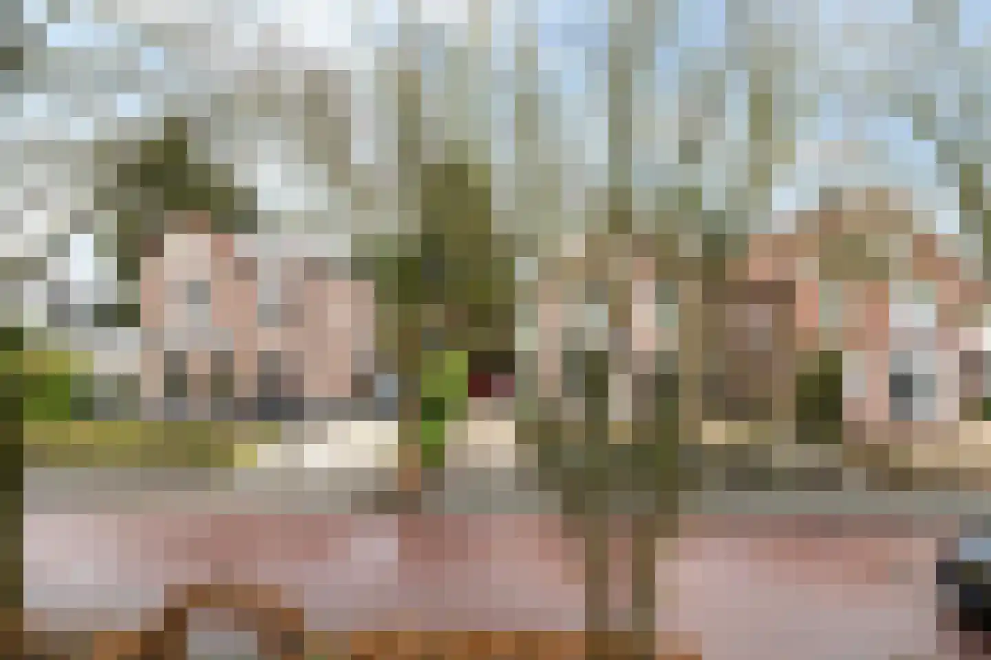 Gardenierslaan 31 Apeldoorn thumbnail 34